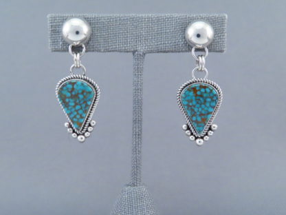 Mineral Park Turquoise & Sterling Silver Earrings