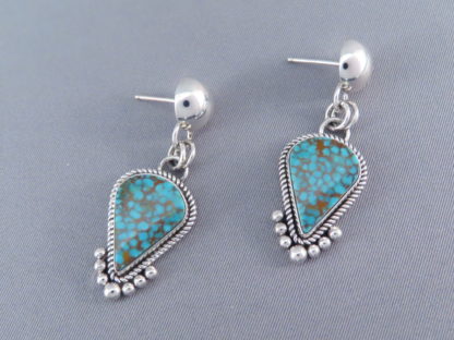 Mineral Park Turquoise & Sterling Silver Earrings