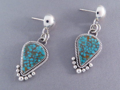 Mineral Park Turquoise & Sterling Silver Earrings