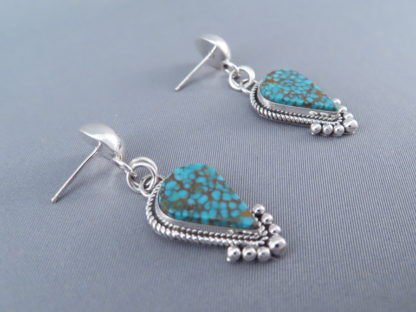 Mineral Park Turquoise & Sterling Silver Earrings