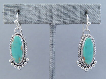 Royston Turquoise Earrings