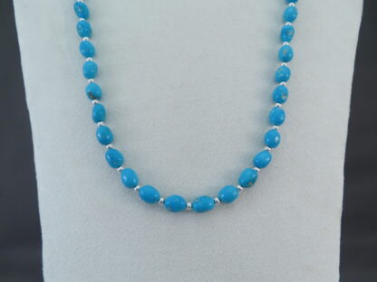 Single-Strand Sleeping Beauty Turquoise Necklace