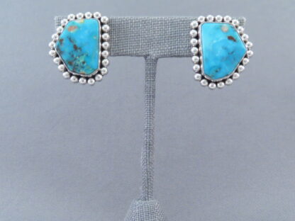 Artie Yellowhorse Earrings with Fox Turquoise