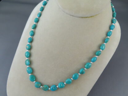 Single Strand Turquoise Necklace (Sonoran Gold Turquoise)
