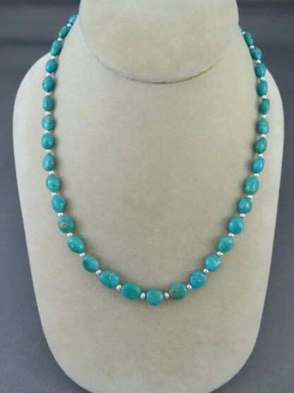 Single Strand Turquoise Necklace (Sonoran Gold Turquoise)