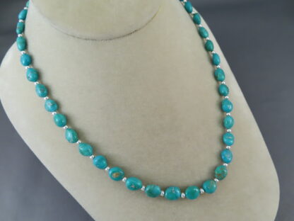 Single Strand Turquoise Necklace (Sonoran Gold Turquoise)