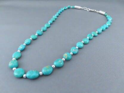 Single Strand Turquoise Necklace (Sonoran Gold Turquoise)