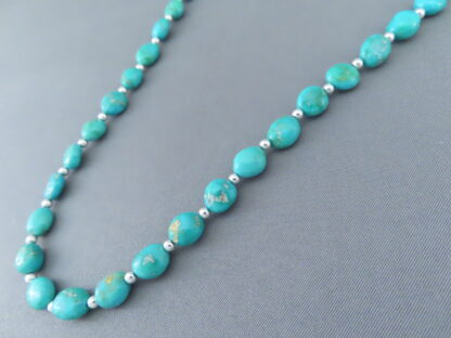 Single Strand Turquoise Necklace (Sonoran Gold Turquoise)