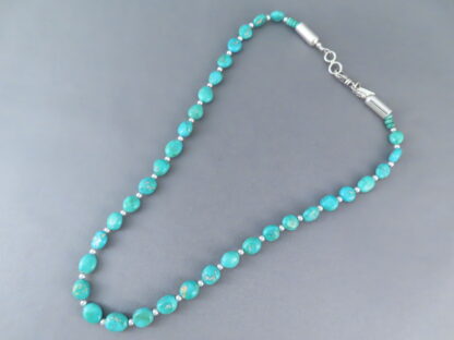 Single Strand Turquoise Necklace (Sonoran Gold Turquoise)