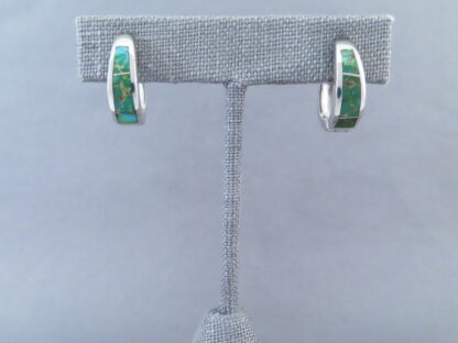 Turquoise Inlay Earrings (Sonoran Gold Turquoise)
