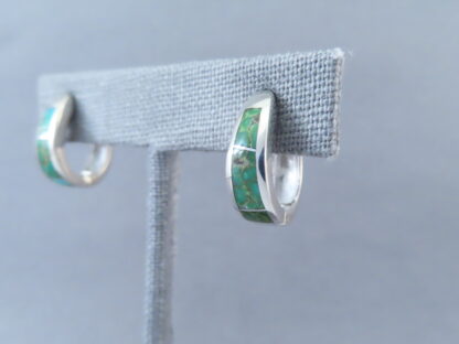 Turquoise Inlay Earrings (Sonoran Gold Turquoise)
