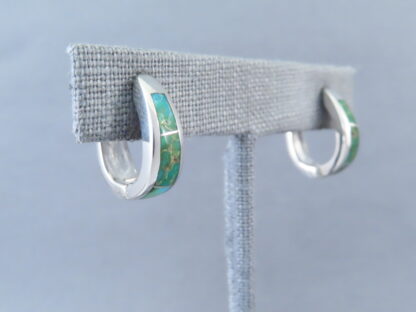 Turquoise Inlay Earrings (Sonoran Gold Turquoise)
