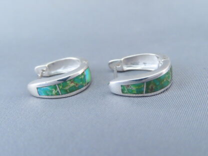 Turquoise Inlay Earrings (Sonoran Gold Turquoise)