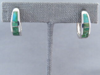 Turquoise Inlay Earrings (Sonoran Gold Turquoise)